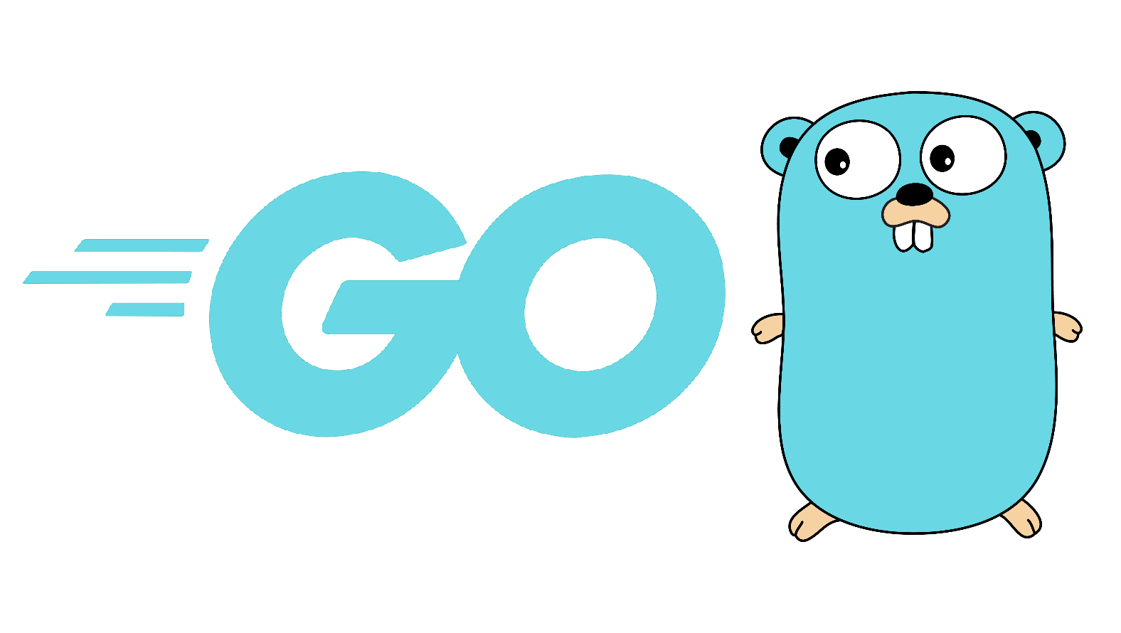 Go coding language logo 